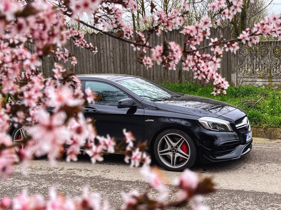 A black Mercedes-AMG A45 behind cherry blossom